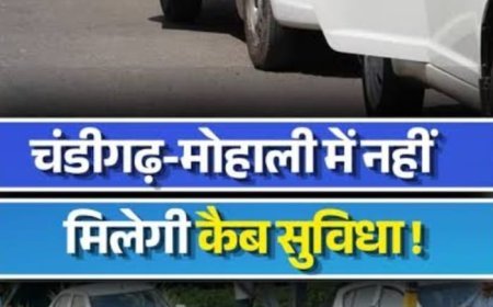 चंडीगढ़ में ओला कैब, बाइक टैक्सी सेवा पर रोक, लाइसेंस छह माह के लिए निलंबित