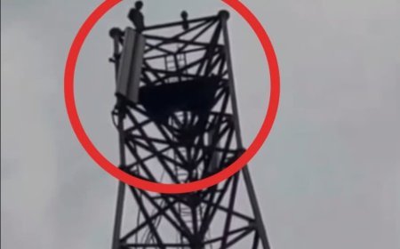 प्रेमिका से शादी रचाने के लिए टावर पर चढ़ा युवक, उतारने के प्रयास जारी