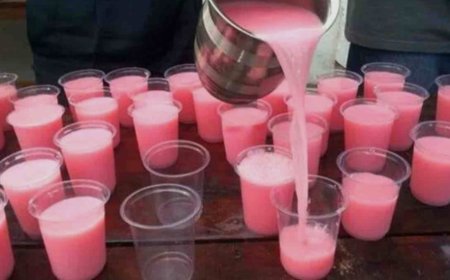 निर्जला एकादशी पर सेवा और श्रद्धा का संगम, जिलेभर में लगीं मीठे पानी की छबीलें