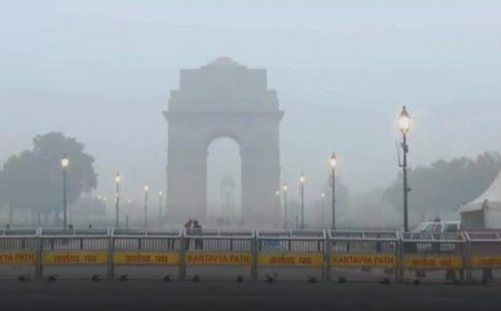 दिल्ली में प्रदूषण को नियंत्रित करने के लिए ठोस कदम उठाने का निर्देश