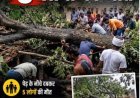 तेज आंधी का कहर, ई-रिक्शा पर नीम का पेड़ गिरने से 5 की मौत, 2 घायल