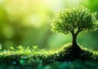 पर्यावरण बचाने के लिए वृक्षारोपण और प्रदूषण नियंत्रण आवश्यक है।