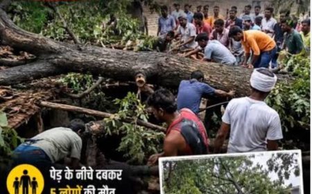 तेज आंधी का कहर, ई-रिक्शा पर नीम का पेड़ गिरने से 5 की मौत, 2 घायल