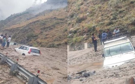 किन्नौर में फ्लैश फ्लड और लैंडस्लाइड से मची तबाही, NH-5 प्रभावित, स्कॉर्पियो समेत दो वाहन मलबे में फंसे