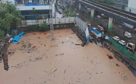 मुंबई में भारी बारिश के बीच धंसी सड़क, गड्ढे में समाई कार; भांडुप का वीडियो वायरल, बड़ा हादसा टला