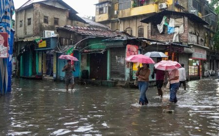 Monsoon Heat Explained: मॉनसून के बावजूद भारतीय शहरों में क्यों पड़ रही भीषण गर्मी?