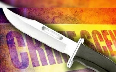 दिल्ली राज पार्क में पुरानी रंजिश में दो भाइयों पर चाकू से हमला, एक की मौत