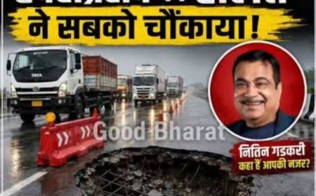 दिल्ली-मुंबई एक्सप्रेसवे पर सख्त हुए नितिन गडकरी, अधिकारियों को कई महत्वपूर्ण निर्देश दिए