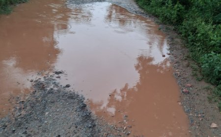 एटा नगला गडरिया की जर्जर सड़क से ग्रामीण परेशान, सड़क निर्माण की मांग तेज
