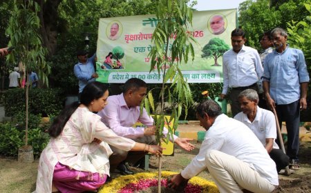 यमुना प्राधिकरण का हरित संकल्प, एक दिन में 77 हजार से अधिक पौधों का रोपण