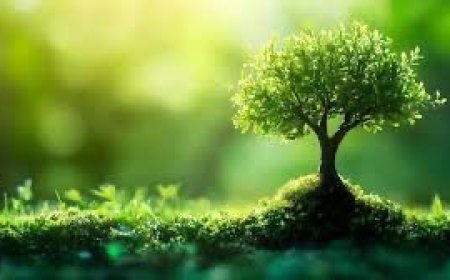 पर्यावरण बचाने के लिए वृक्षारोपण और प्रदूषण नियंत्रण आवश्यक है।
