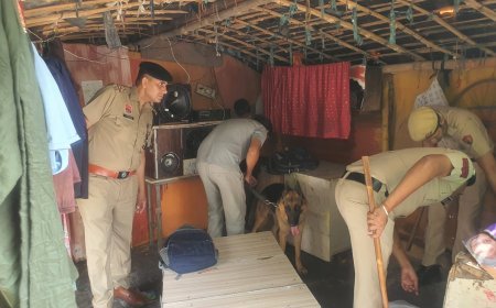 रामगढ़ में पंचकूला पुलिस का कॉम्बिंग ऑपरेशन: स्निफर डॉग के साथ संदिग्धों ठिकानों की ली गई तलाशी।
