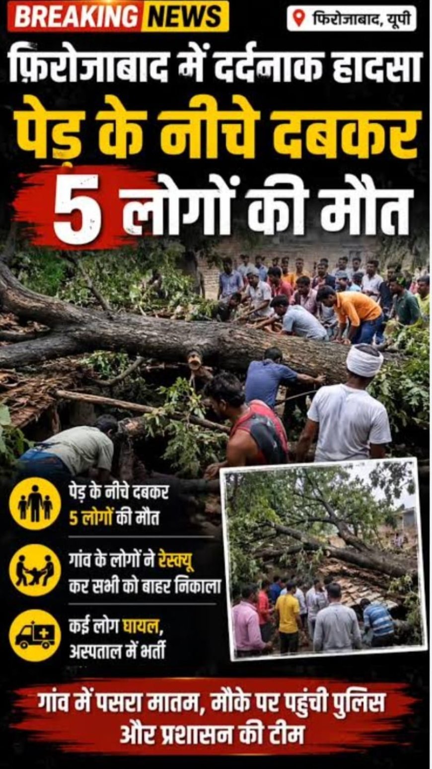 तेज आंधी का कहर, ई-रिक्शा पर नीम का पेड़ गिरने से 5 की मौत, 2 घायल