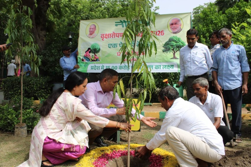 यमुना प्राधिकरण का हरित संकल्प, एक दिन में 77 हजार से अधिक पौधों का रोपण