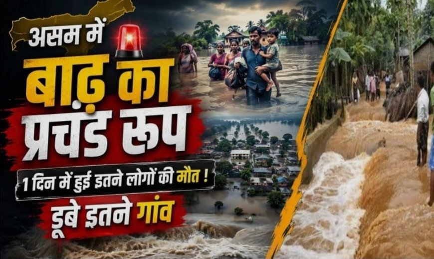 असम में बाढ़ का तांडव, 68 लोगों की मौत और 5 लाख से ज्यादा लोग प्रभावित; NDRF का रेस्क्यू जारी