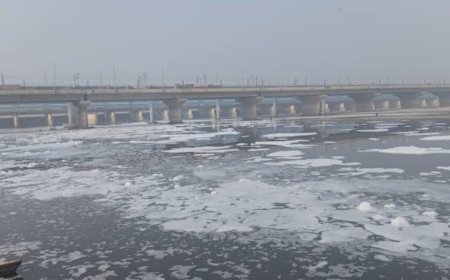 यमुना की सफाई पर फिर सवाल, कई नाले और सीवेज प्लांट जांच में फेल