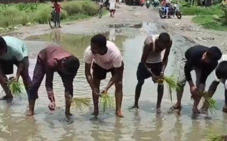 बदायूं में सड़क पर की धान की रोपाई, जलभराव से परेशान ग्रामीणों का अनोखा विरोध