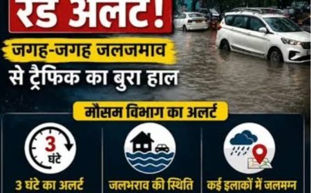दिल्ली-एनसीआर में झमाझम बारिश, जलभराव और जाम से जनजीवन प्रभावित