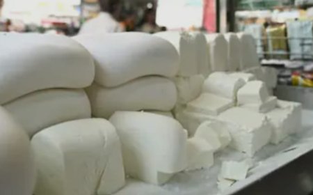 ग्रेटर नोएडा के लखनावली में पकड़ा गया 350 किलो मिलावटी पनीर, प्राधिकरण की मदद से कराया गया नष्ट