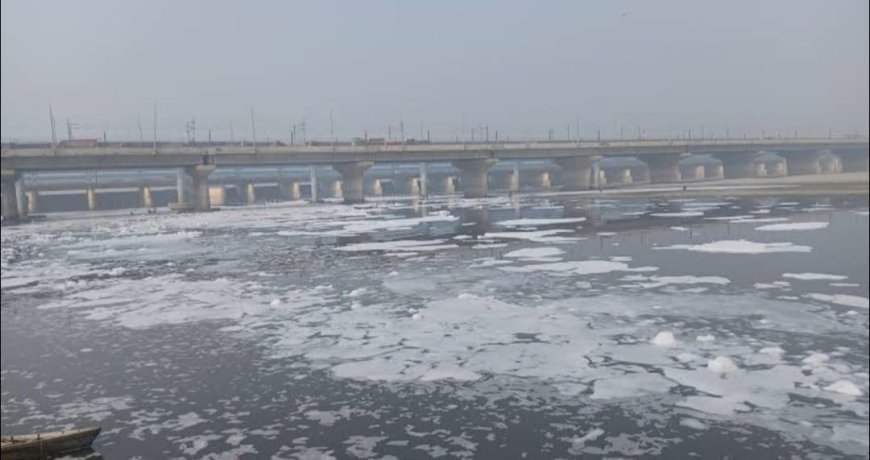 यमुना की सफाई पर फिर सवाल, कई नाले और सीवेज प्लांट जांच में फेल