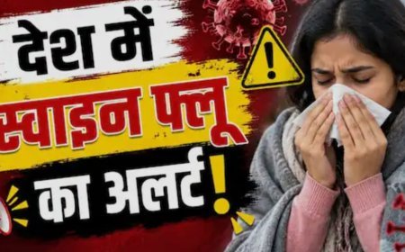 दिल्ली में लगातार बढ़ रहे स्वाइन फ्लू के मरीज, अब तक 3,828 मामले दर्ज; 610 बाहर के रोगी