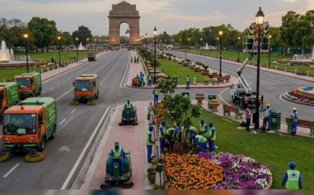 ब्रिक्स शिखर सम्मेलन के लिए सजेगी नई दिल्ली, 17 प्रमुख गोलचक्करों और 11 होटल परिसरों पर होगी सजावटी रोशनी