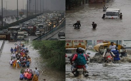दिल्ली-एनसीआर में वर्षा होने से निचले इलाकों में भारी जलभराव