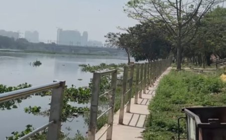 हिंडन में गिरने वाले तीन नालों के पानी को साफ करने की तैयारी