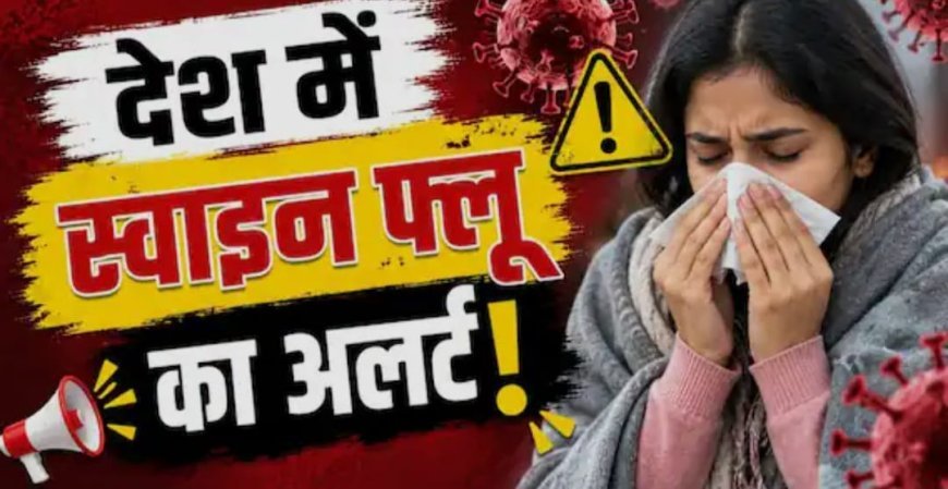 दिल्ली में लगातार बढ़ रहे स्वाइन फ्लू के मरीज, अब तक 3,828 मामले दर्ज; 610 बाहर के रोगी