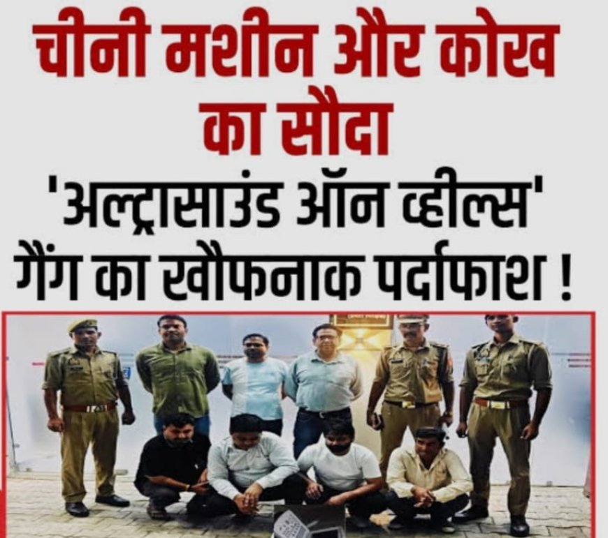 गाजियाबाद में चलती कार में कथित भ्रूण लिंग परीक्षण का खुलासा, क्राइम ब्रांच ने दो आरोपियों को दबोचा; पोर्टेबल अल्ट्रासाउंड मशीन बरामद