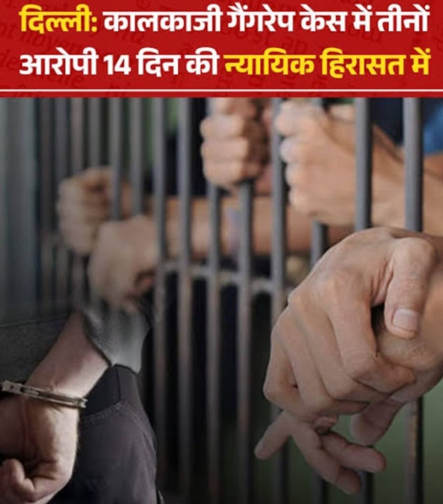 दिल्ली गैंगरेप केस: अदालत ने तीन आरोपियों को 14 दिन की न्यायिक हिरासत में भेजा