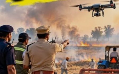 पराली जलाने पर रोक के लिए 34 जिलों में फ्लाइंग स्क्वॉड तैनात