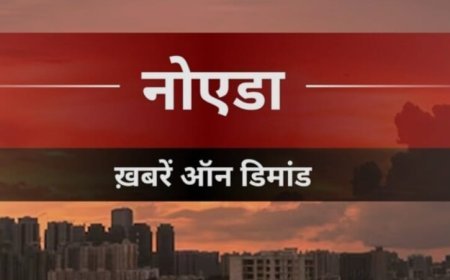 ओवरटेक करने के चक्कर में पलटी थार